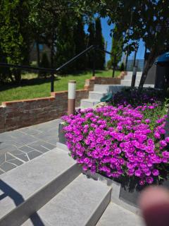 The Dream house - 6