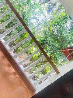 Sunny's Garden Hotel - 2