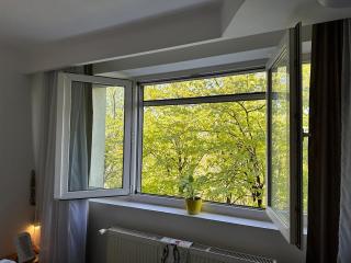 Very Nice Room 2 Mins to Piata Victoriei - 6