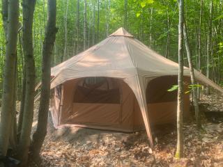 Forest Yurt - 8