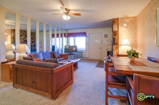 Aspen East Unit #115 - 0