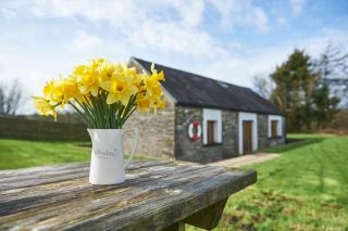 Penuwch Boathouse - cottage in Wales with indoor pool - 8