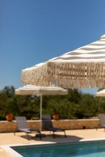 The Olive Grove Kardamyli - 8