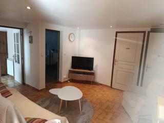 F2 classé 3 étoiles vue montagne, extérieur clos - Arles-sur-Tech - 7
