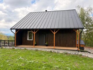 Casa de Lângă Mesteceni - 0