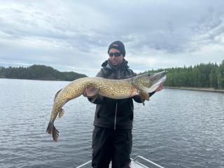 Villa Saimaa - 4