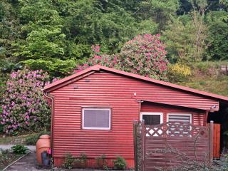 Ferienhaus in Geesthacht-Tesperhude direkt am Waldrand - 8