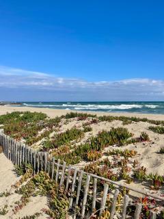 Résidence naturiste Éden plage - 2