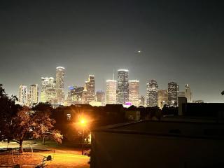 Houston Heights 3BDR Garage Downtown Med Centre - 3