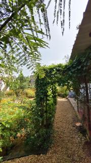 Rootscape Huts Hostel and Home Stay - 9