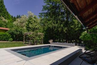 Adventure Cottage with pool and big garden - 2
