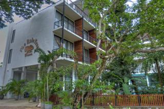 Rain Tree by Oak Ray - Tissamaharama - 3