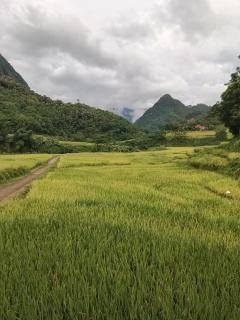 Homestay wiu ruộng bậc thang - 0