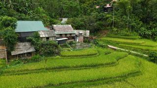 Homestay wiu ruộng bậc thang - 3