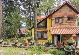 Private Stunning Cottage In Forest Cuernavaca CDMX - 8