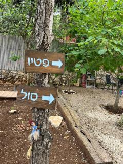 המקום של נטע - 4