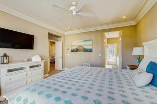 Loggerhead - Leatherback #903 - 1