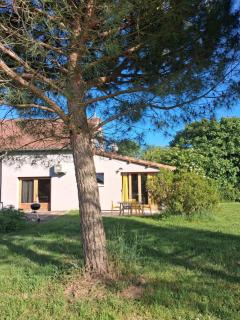 Appartement individuel rez de jardin 3 a 5 personnes proche Albi - Cadalen - 9