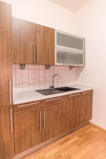 Apartment Sirius D in center of CB. - České Budějovice - 4
