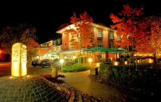 Hotel Driland - Gronau - 8