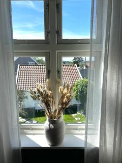 Lenes hus - 6