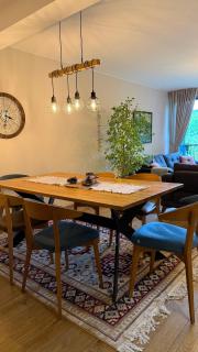 Spa Villa Smetovi with Jacuzzi & Sauna - 9