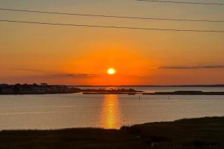 Tower Shores - Sunshine Daydream --- 39546 Admiral Road - 4