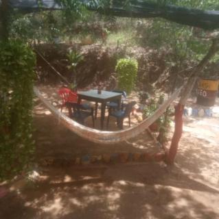 casa camping mr wilson - 5