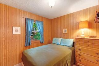 Walloon Lake Cottage - 5