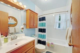 Walloon Lake Cottage - 4