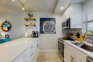 Sand Dollar - 4