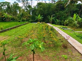 Umaros Villa - a Nature Joglo House - 2