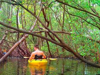 Walk to Siesta Key Beach & Village, Pool, Dock, Game Room! - 5