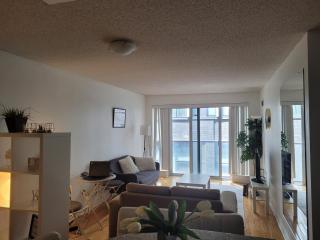 Downtown Toronto Condo - 9