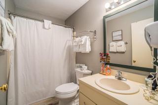 Wintergreen Condo, Unit #543 - 3