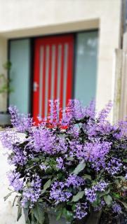Self Contained Pet Friendly Guesthouse "The Perch" - 3