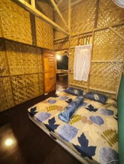 Orangutan Joint Trekking & Stay - 5