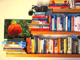 Birds Hotel Molino - 1