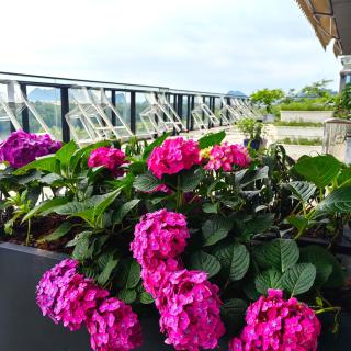 Riverside Wing Hotel Guilin - 6