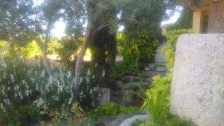 Hotel Rural San Pelayo - 2