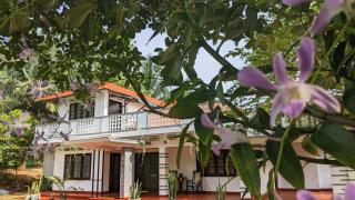 The Tangalle Verandah - 0
