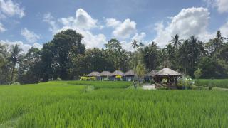 Eco Oasis Wooden Villa Ubud - 9
