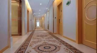 Vienna Hotel Guangdong Shanwei Luhe - 2