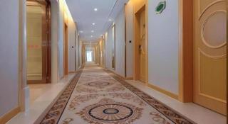 Vienna Hotel Guangdong Shanwei Luhe - 1