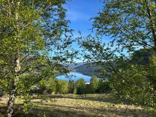 Stille og fredelig med panoramautsikt - 8