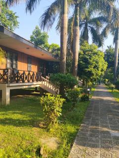 Jungle World Resort - 5