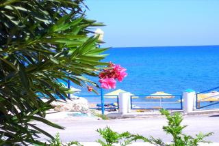 Antonios Apartments Stegna - 6