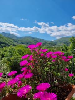CASA VACANZE - Anna Holiday Home - 0