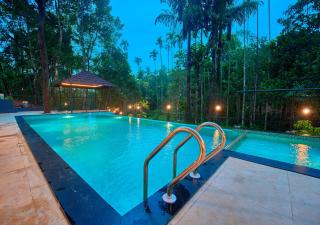 Achutham Banasura Pool Villa by VOYE HOMES - 5