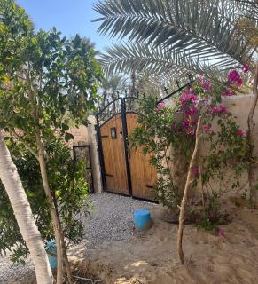 Siwa Spot - Traditional Siwan Room with Patio - 5